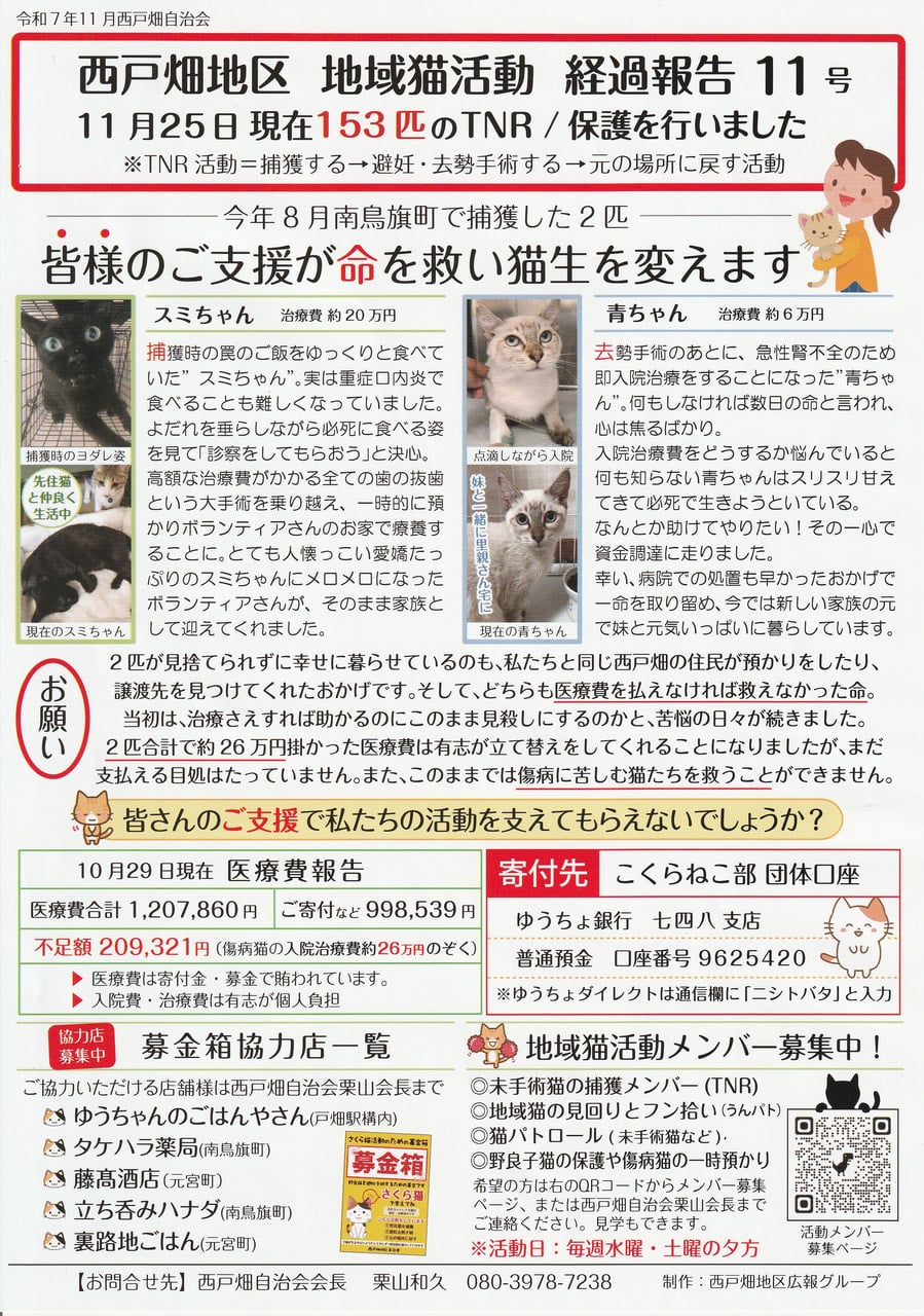 西戸畑地区地域猫活動」 - 西戸畑地区自治会｜戸畑区自治総合連合会